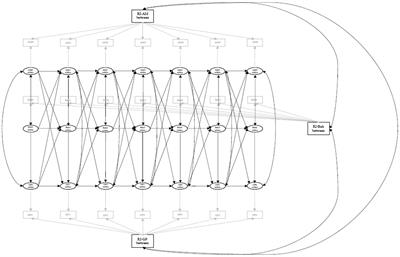 Autonomous motivation, goal-facilitating behaviours, and dietary goal progress in individuals transitioning to a veg*n diet: A longitudinal study